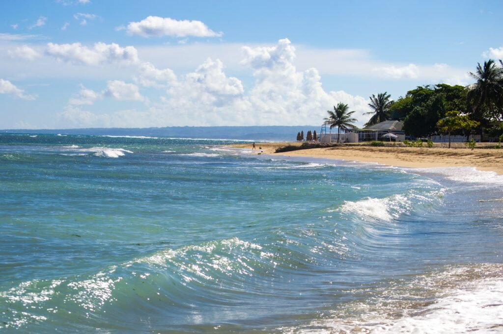 A tranquil tropical beach scene with gentle waves, palm trees, and a clear blue sky.